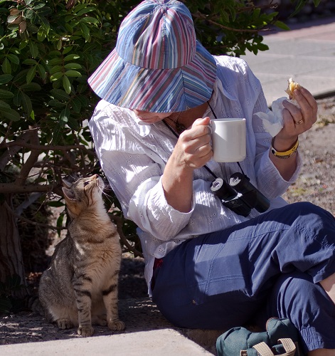 IMG_0958.jpg IMG_0958.jpg