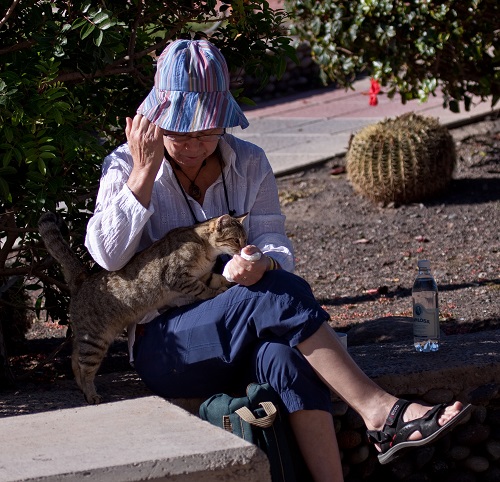 IMG_0960.jpg IMG_0960.jpg