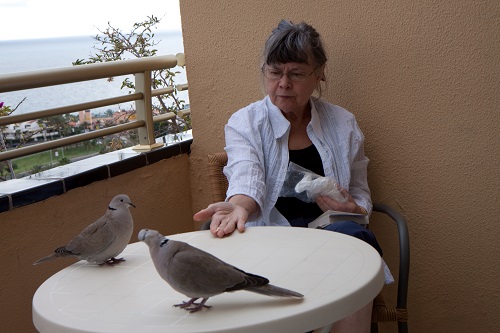 IMG_0805.jpg IMG_0805.jpg