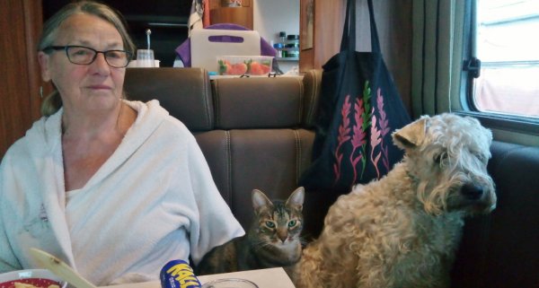 IMG_20170129_083338 (1024x549).jpg IMG_20170129_083338 (1024x549).jpg