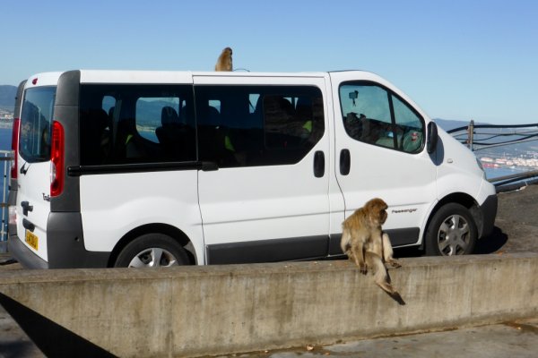 P1240048 (1024x683).jpg P1240048 (1024x683).jpg