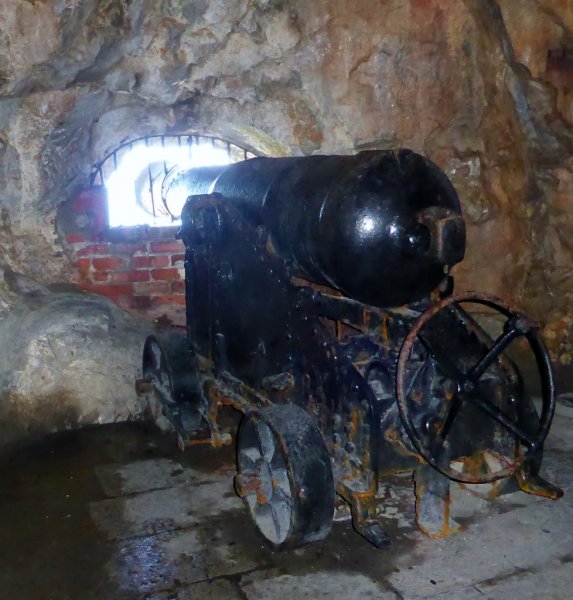 P1240059 (978x1024).jpg P1240059 (978x1024).jpg