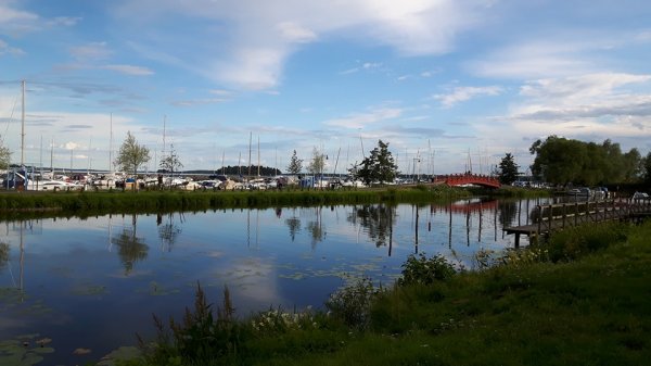 IMG_5551.jpg IMG_5551.jpg