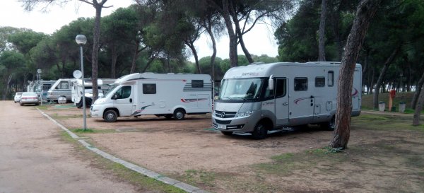 IMG_20170131_180122.jpg IMG_20170131_180122.jpg