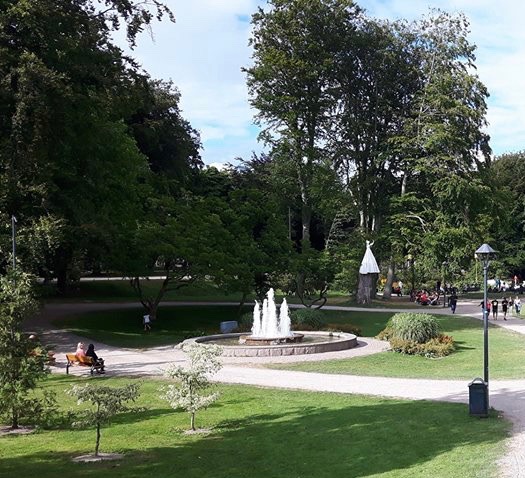 IMG_2395.jpg IMG_2395.jpg