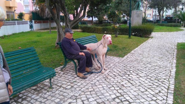 DSC_0429.JPG DSC_0429.JPG