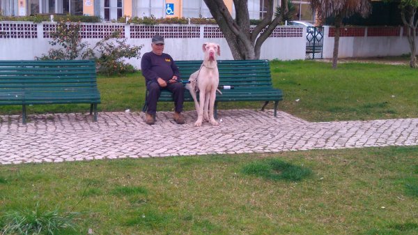 DSC_0430.JPG DSC_0430.JPG