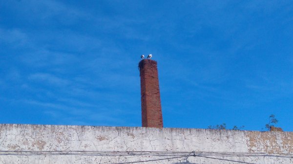 DSC_0436.JPG DSC_0436.JPG