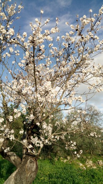 IMG_20170201_162624.jpg IMG_20170201_162624.jpg