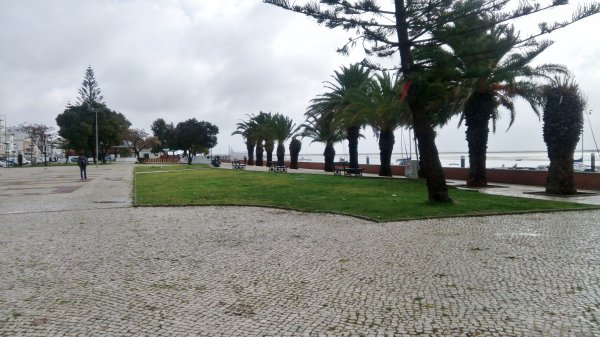 IMG_20170202_105548.jpg IMG_20170202_105548.jpg