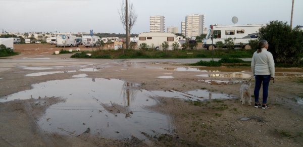 IMG_20170202_175346.jpg IMG_20170202_175346.jpg