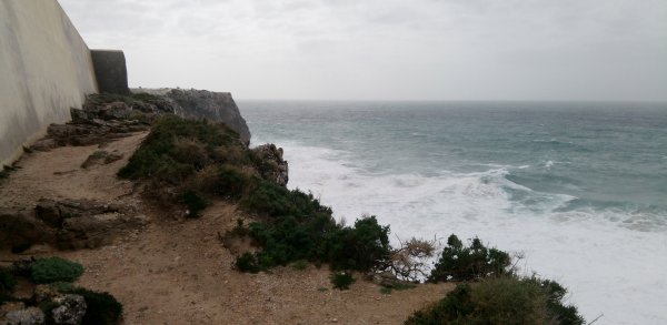 IMG_20170203_140555.jpg IMG_20170203_140555.jpg