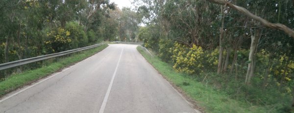 IMG_20170203_160825.jpg IMG_20170203_160825.jpg