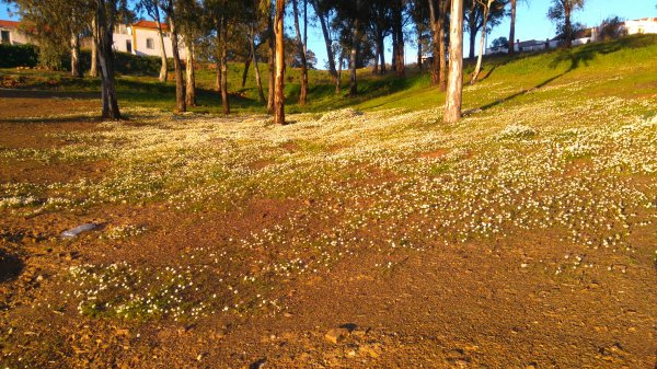 DSC_0494.JPG DSC_0494.JPG