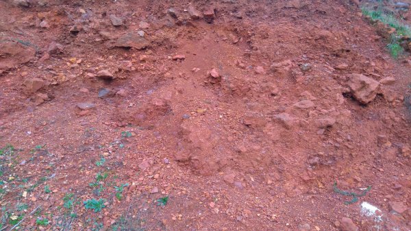 DSC_0526.JPG DSC_0526.JPG