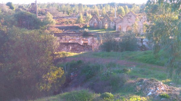 DSC_0480.JPG DSC_0480.JPG