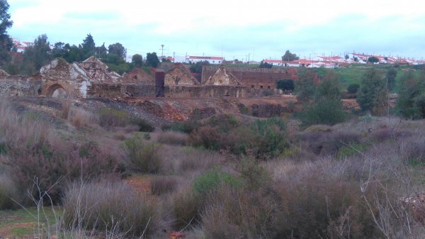 DSC_0511.JPG DSC_0511.JPG