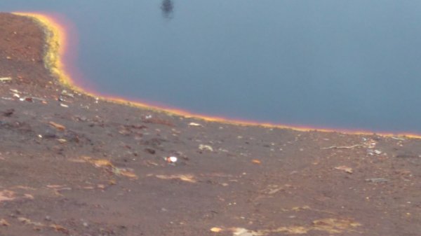 DSC_0521.JPG DSC_0521.JPG