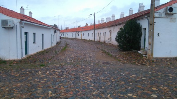 DSC_0508.JPG DSC_0508.JPG