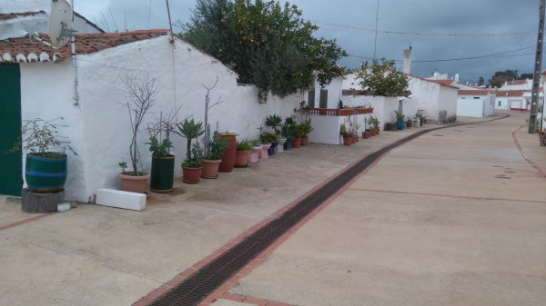 DSC_0528.JPG DSC_0528.JPG