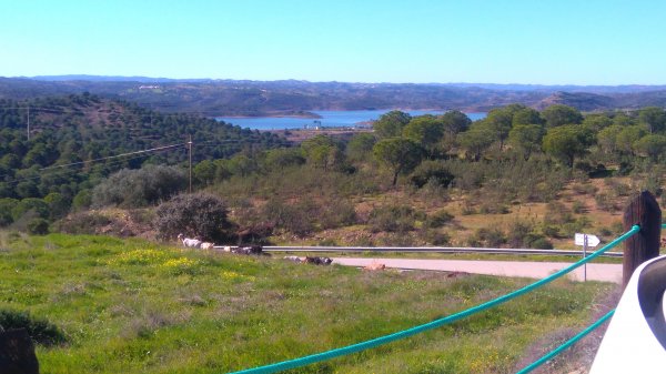 DSC_0536.JPG DSC_0536.JPG