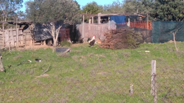 DSC_0541.JPG DSC_0541.JPG