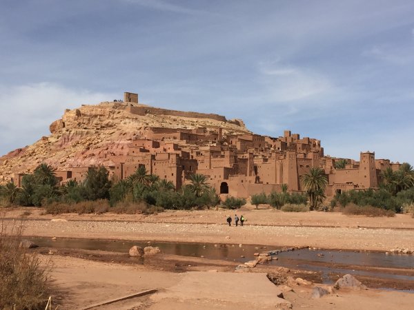 IMG_2460.JPG IMG_2460.JPG