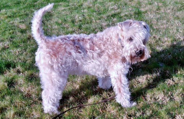 IMG_20170208_092254.jpg IMG_20170208_092254.jpg