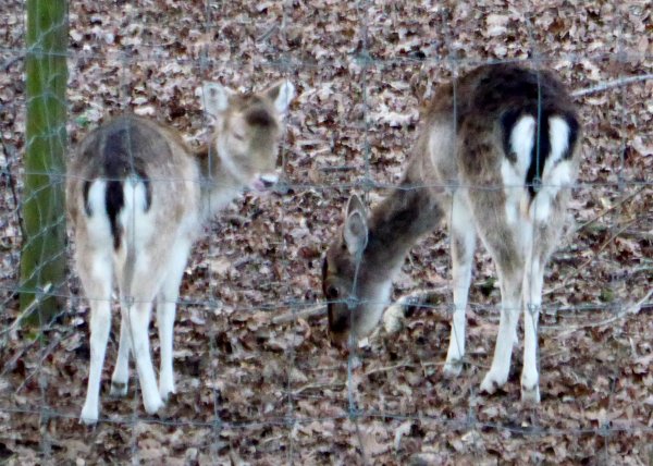 P1240082.JPG P1240082.JPG