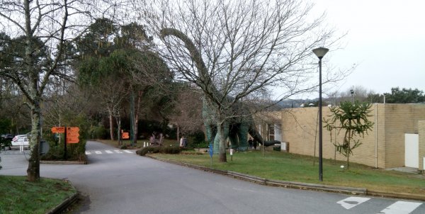 IMG_20170209_095006.jpg IMG_20170209_095006.jpg