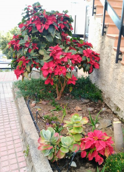 2017-02-08 17.50.34.jpg 2017-02-08 17.50.34.jpg