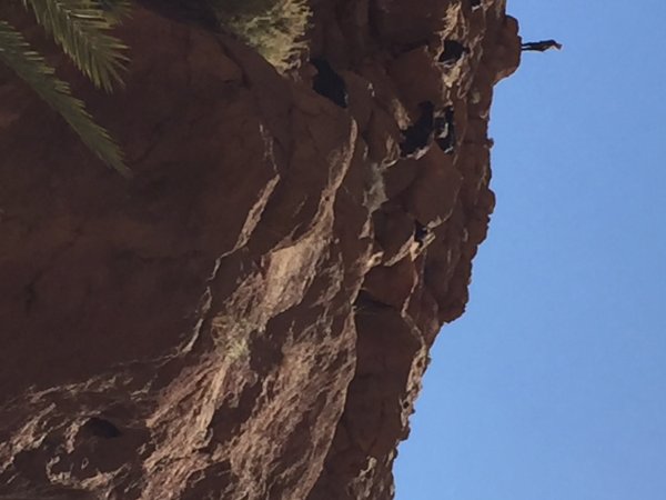 IMG_2486.JPG IMG_2486.JPG