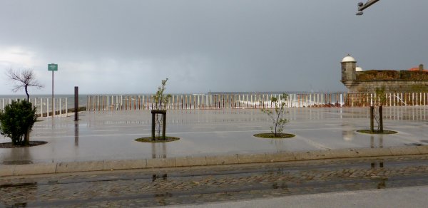 P1240097.JPG P1240097.JPG