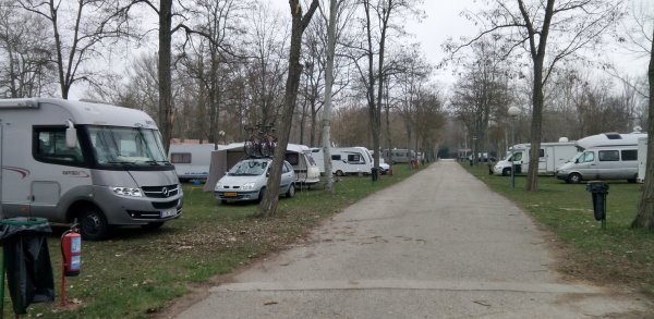 IMG_20170211_164702.jpg IMG_20170211_164702.jpg