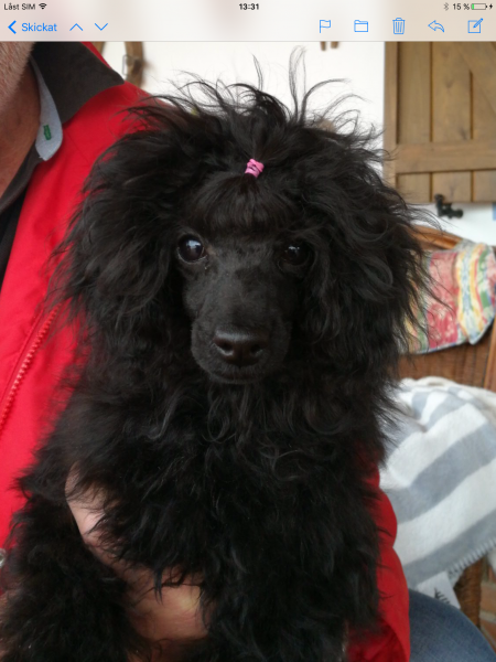 IMG_0687.PNG IMG_0687.PNG