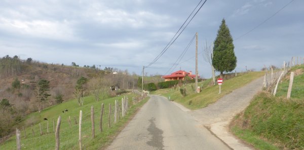 P1240135.JPG P1240135.JPG