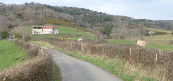 P1240139.JPG P1240139.JPG