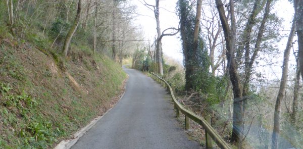 P1240143.JPG P1240143.JPG