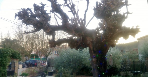 IMG_20170215_173534.jpg IMG_20170215_173534.jpg