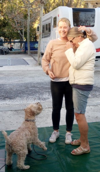 IMG_20170125_171739.jpg IMG_20170125_171739.jpg