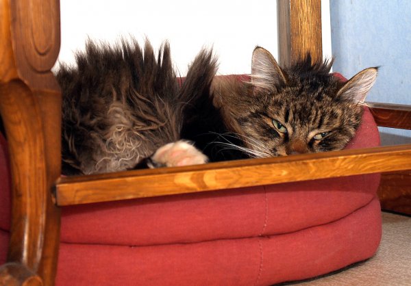 lurv 3.jpg lurv 3.jpg