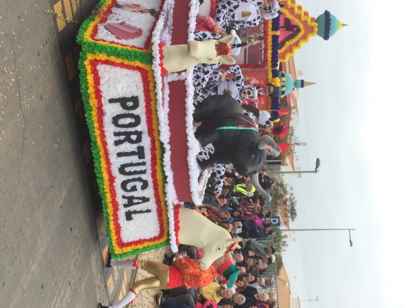 IMG_2645.JPG IMG_2645.JPG