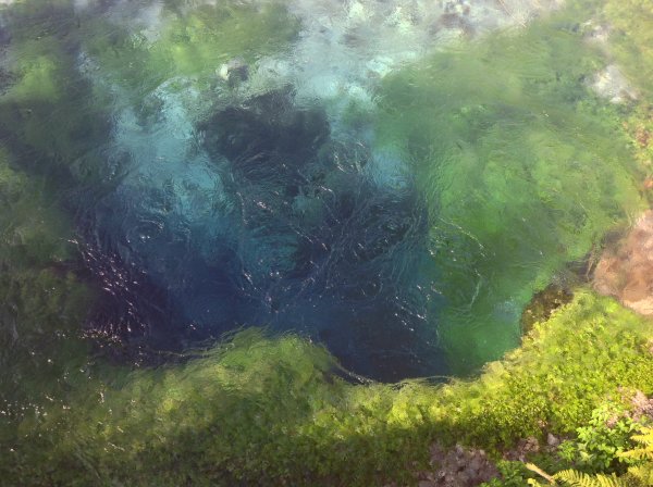 IMG_1020.JPG IMG_1020.JPG