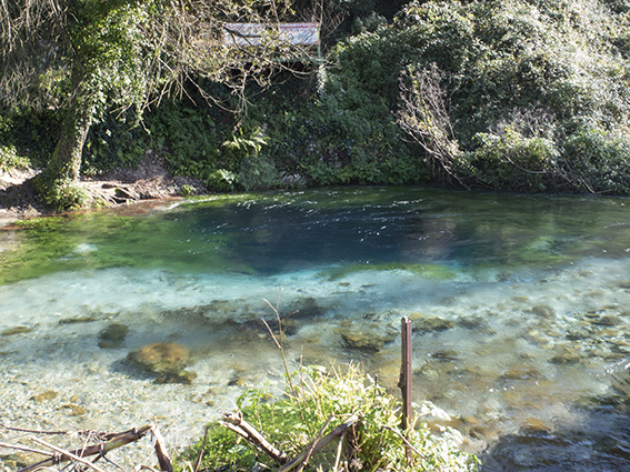 IMG_0537.jpg IMG_0537.jpg