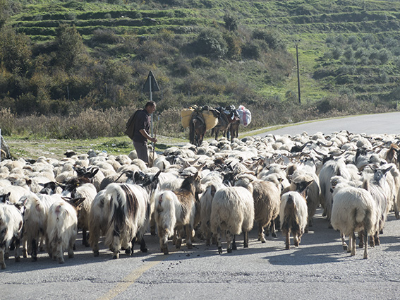 IMG_0554.jpg IMG_0554.jpg