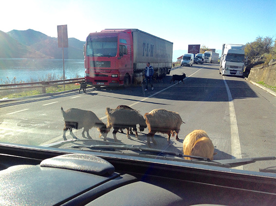 image1-1.JPG image1-1.JPG