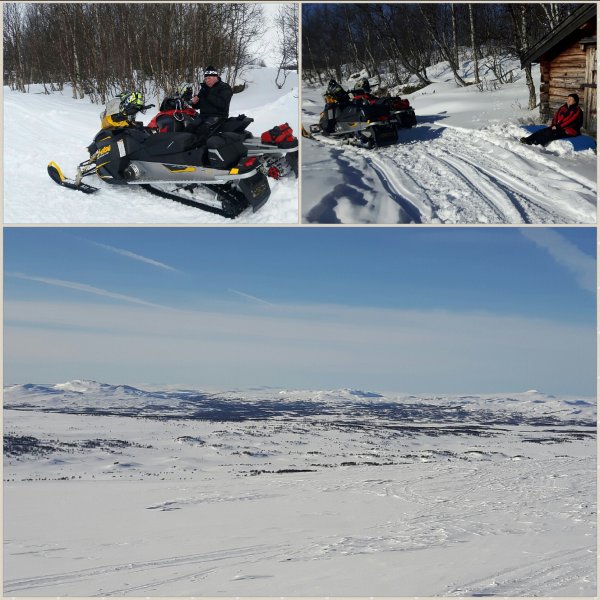 2017-03-11 15.51.03.jpg