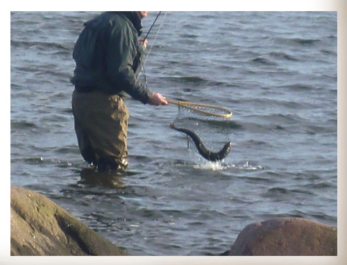 170312_soeder om AAlebeck_2.jpg