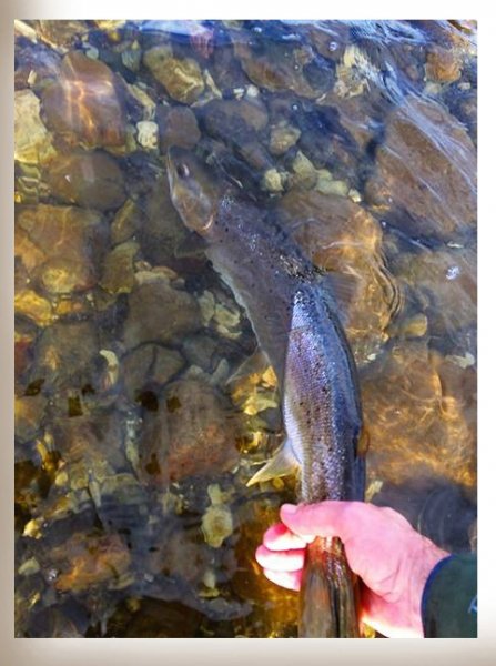 170312_soeder om AAlebeck_6.jpg