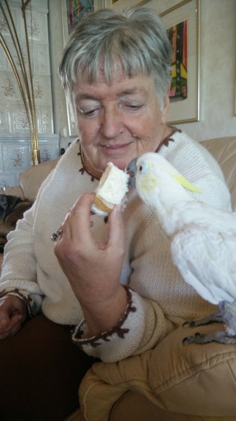 IMG_20160117_115054.jpg IMG_20160117_115054.jpg